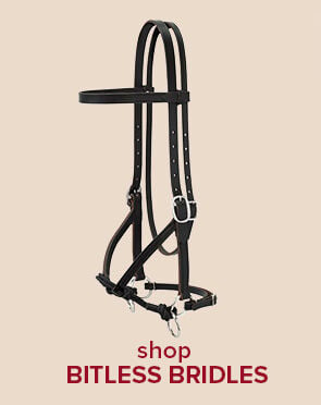 Bitless Bridles